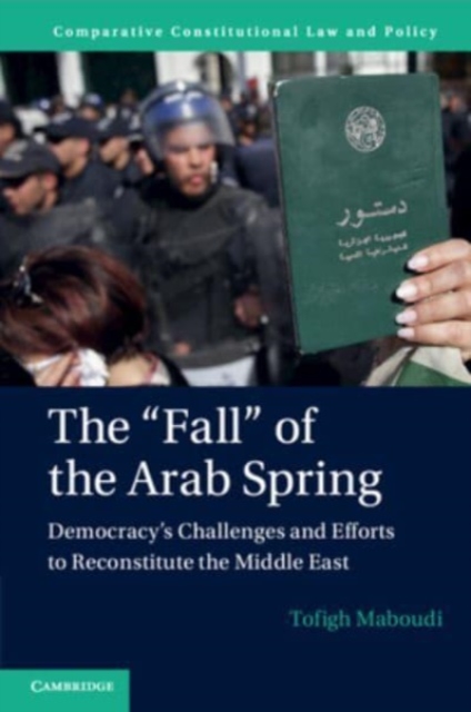 The 'Fall' of the Arab Spring : Democracy's Challenges and Efforts to Reconstitute the Middle East, Paperback / softback Book