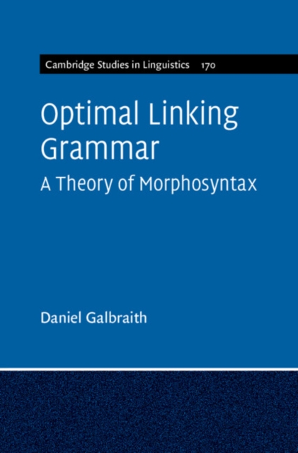 Optimal Linking Grammar: Volume 170 : A Theory of Morphosyntax, EPUB eBook
