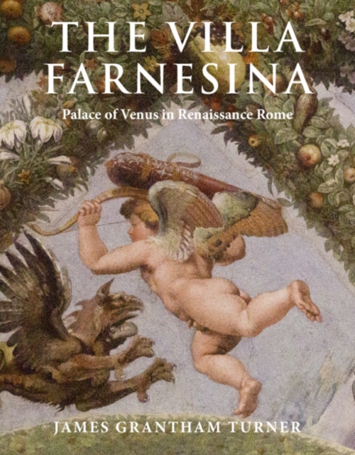 Villa Farnesina : Palace of Venus in Renaissance Rome, PDF eBook
