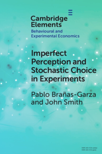 Imperfect Perception and Stochastic Choice in Experiments, Paperback / softback Book