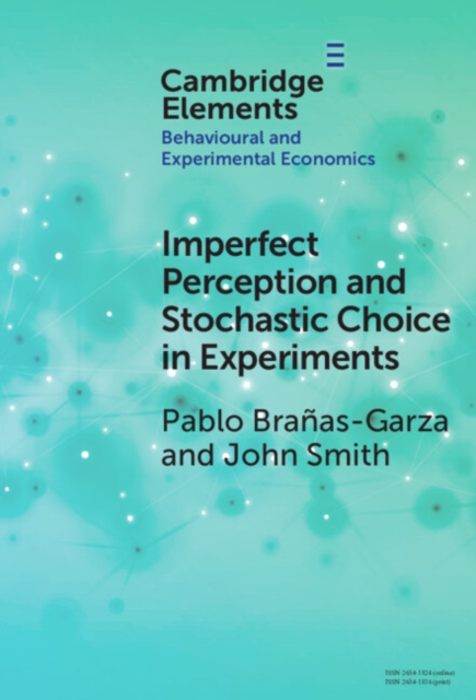 Imperfect Perception and Stochastic Choice in Experiments, EPUB eBook
