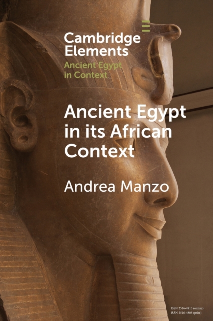 Ancient Egypt in its African Context : Economic Networks, Social and Cultural Interactions, Paperback / softback Book