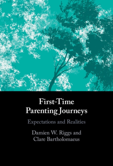 First-Time Parenting Journeys : Expectations and Realities, PDF eBook