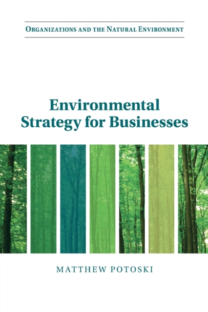Environmental Strategy for Businesses, Paperback / softback Book