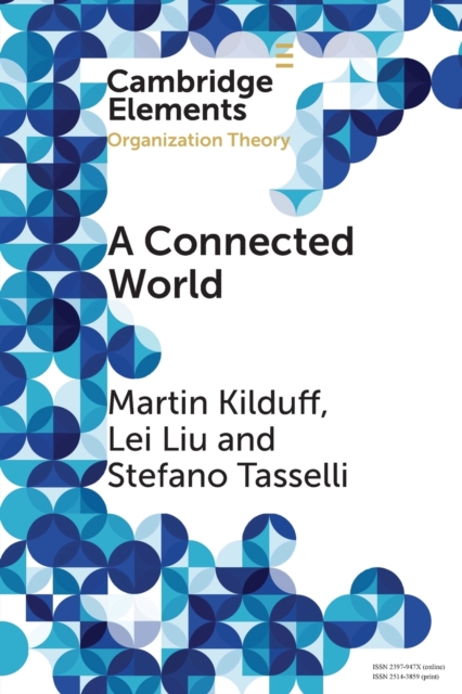 A Connected World : Social Networks and Organizations, Paperback / softback Book