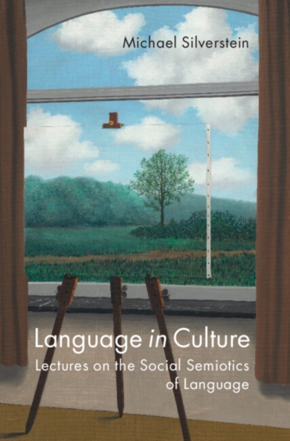Language in Culture : Lectures on the Social Semiotics of Language, PDF eBook