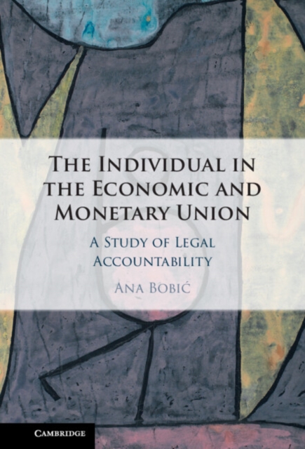 Individual in the Economic and Monetary Union : A Study of Legal Accountability, PDF eBook