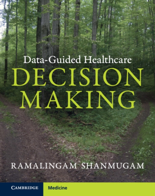 Data-Guided Healthcare Decision Making, EPUB eBook