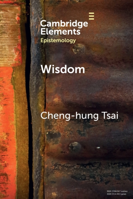 Wisdom : A Skill Theory, Paperback / softback Book