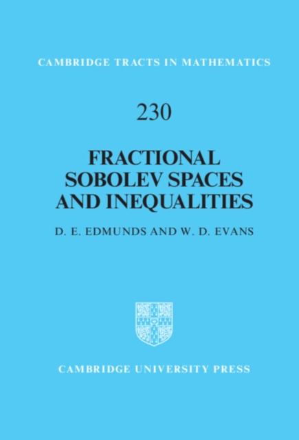 Fractional Sobolev Spaces and Inequalities, PDF eBook