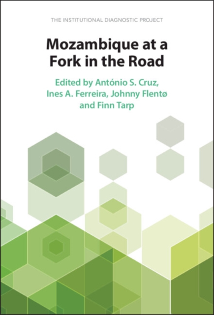 Mozambique at a Fork in the Road : The Institutional Diagnostic Project, Hardback Book