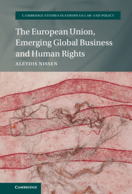 The European Union, Emerging Global Business and Human Rights, EPUB eBook