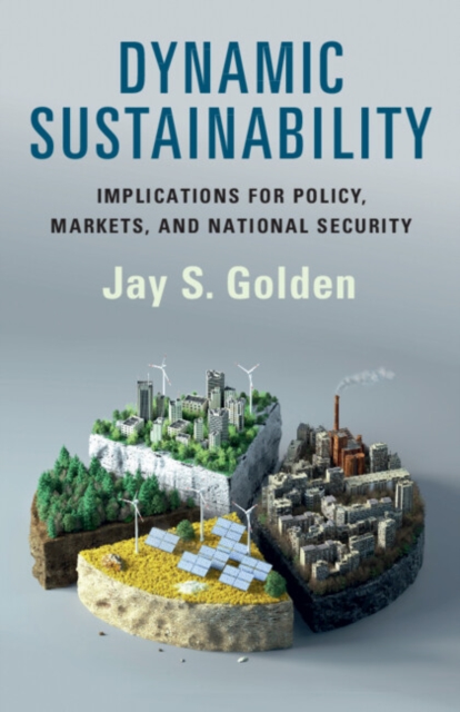 Dynamic Sustainability : Implications for Policy, Markets and National Security, Paperback / softback Book