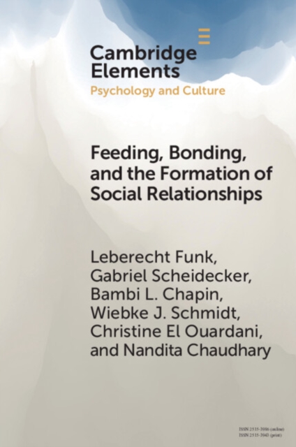Feeding, Bonding, and the Formation of Social Relationships : Ethnographic Challenges to Attachment Theory and Early Childhood Interventions, EPUB eBook