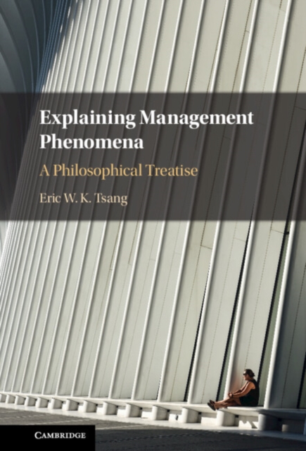 Explaining Management Phenomena : A Philosophical Treatise, PDF eBook