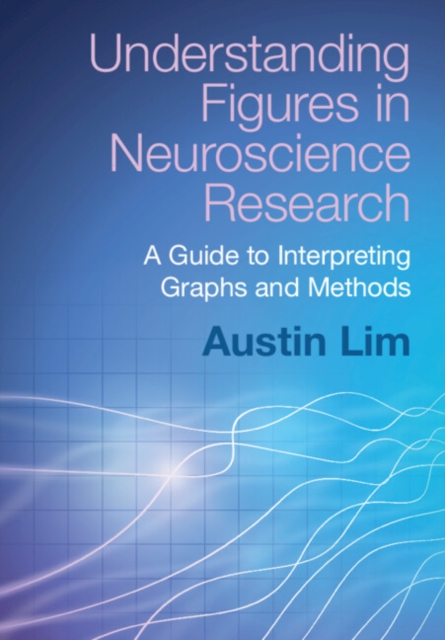 Understanding Figures in Neuroscience Research : A Guide to Interpreting Graphs and Methods, Paperback / softback Book