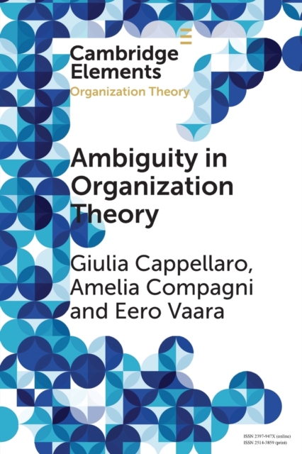 Ambiguity in Organization Theory : From Intrinsic to Strategic Perspectives, Paperback / softback Book