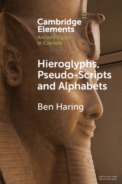 Hieroglyphs, Pseudo-Scripts and Alphabets : Their Use and Reception in Ancient Egypt and Neighbouring Regions, EPUB eBook