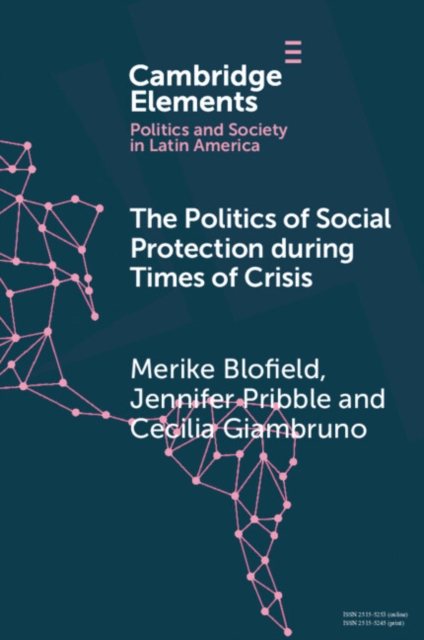 Politics of Social Protection During Times of Crisis, EPUB eBook