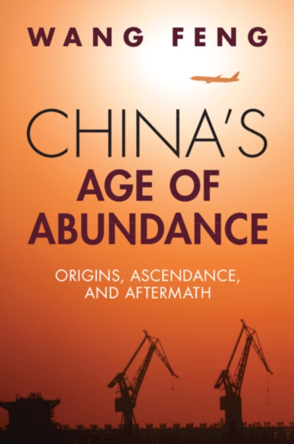 China's Age of Abundance : Origins, Ascendance, and Aftermath, Paperback / softback Book