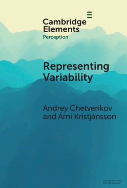 Representing Variability : How Do We Process the Heterogeneity in the Visual Environment?, Hardback Book