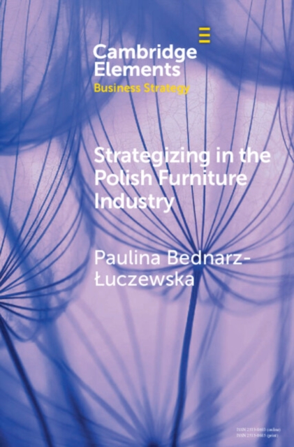 Strategizing in the Polish Furniture Industry, Hardback Book