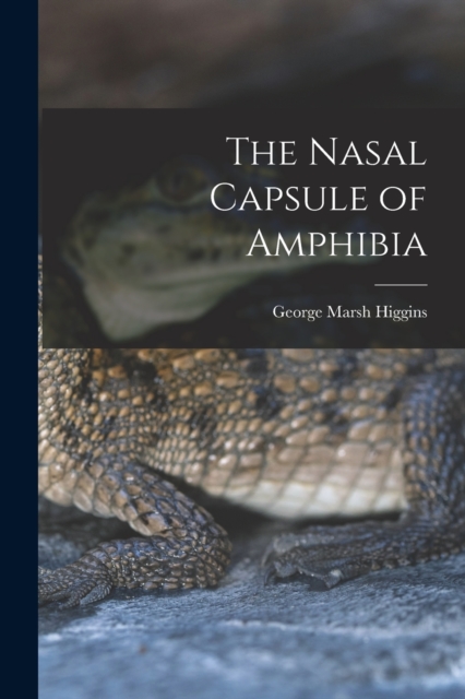 The Nasal Capsule of Amphibia, Paperback / softback Book