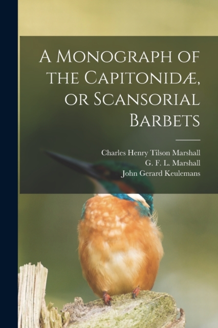 A Monograph of the Capitonidae, or Scansorial Barbets, Paperback / softback Book