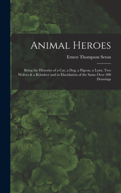 Animal Heroes : Being the Histories of a Cat, a Dog, a Pigeon, a Lynx, Two Wolves & a Reindeer and in Elucidation of the Same Over 200 Drawings, Hardback Book