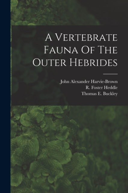 A Vertebrate Fauna Of The Outer Hebrides, Paperback / softback Book