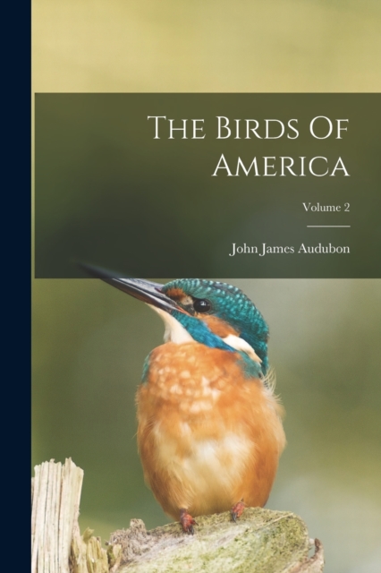 The Birds Of America; Volume 2, Paperback / softback Book