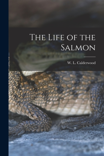 The Life of the Salmon, Paperback / softback Book