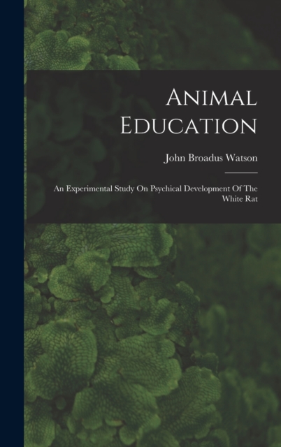 Animal Education : An Experimental Study On Psychical Development Of The White Rat, Hardback Book