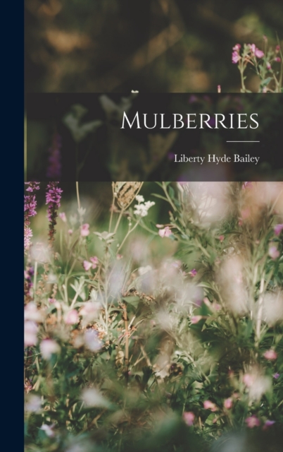 Mulberries, Hardback Book