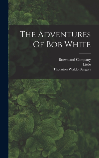 The Adventures Of Bob White, Hardback Book