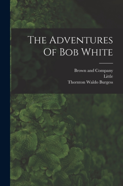 The Adventures Of Bob White, Paperback / softback Book