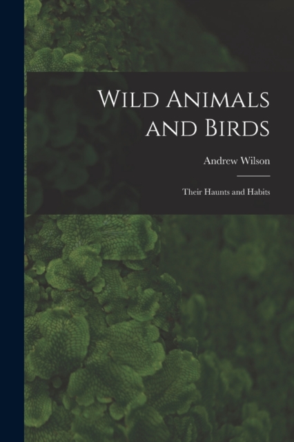 Wild Animals and Birds : Their Haunts and Habits, Paperback / softback Book