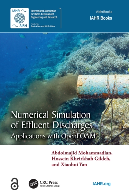 Numerical Simulation of Effluent Discharges : Applications with OpenFOAM, Hardback Book