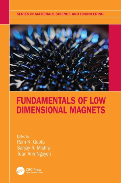 Fundamentals of Low Dimensional Magnets, Hardback Book