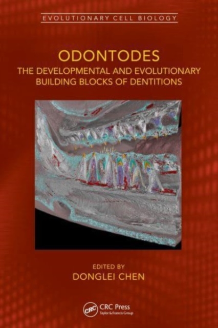 Odontodes : The Developmental and Evolutionary Building Blocks of Dentitions, Hardback Book