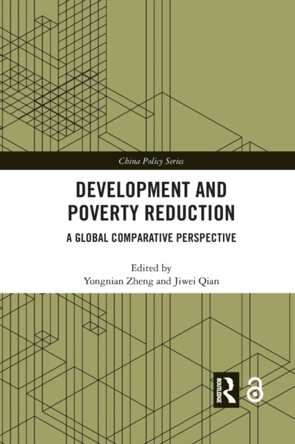 Development and Poverty Reduction : A Global Comparative Perspective, Paperback / softback Book
