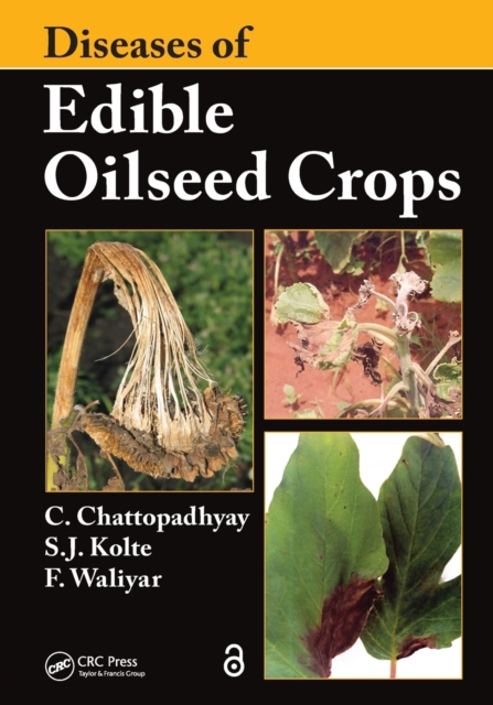 Diseases of Edible Oilseed Crops, Paperback / softback Book