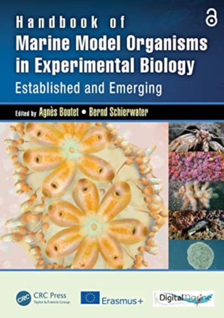 Handbook of Marine Model Organisms in Experimental Biology : Established and Emerging, Paperback / softback Book
