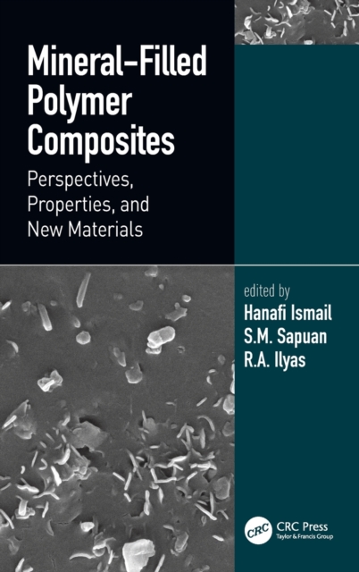 Mineral-Filled Polymer Composites : Perspectives, Properties, and New Materials, Hardback Book