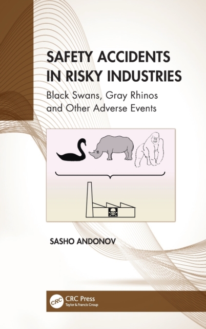 Safety Accidents in Risky Industries : Black Swans, Gray Rhinos and Other Adverse Events, Hardback Book