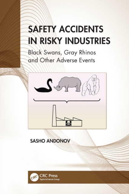 Safety Accidents in Risky Industries : Black Swans, Gray Rhinos and Other Adverse Events, Paperback / softback Book