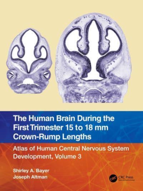 The Human Brain during the First Trimester 15- to 18-mm Crown-Rump Lengths : Atlas of Human Central Nervous System Development, Volume 3, Hardback Book