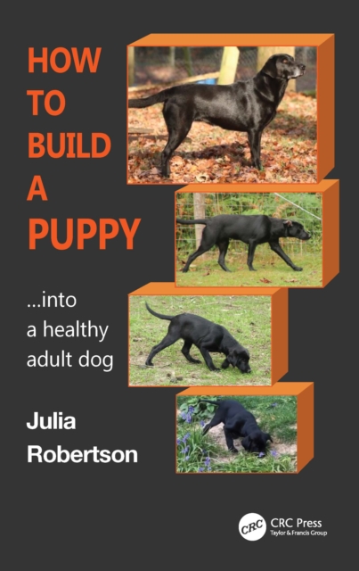 How to Build a Puppy : Into a Healthy Adult Dog, Hardback Book