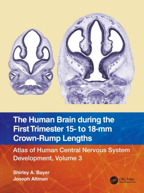 The Human Brain during the First Trimester 15- to 18-mm Crown-Rump Lengths : Atlas of Human Central Nervous System Development, Volume 3, Paperback / softback Book