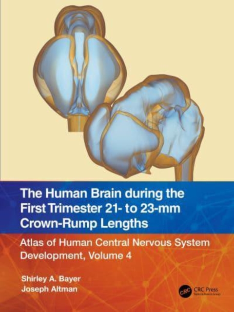 The Human Brain during the First Trimester 21- to 23-mm Crown-Rump Lengths : Atlas of Human Central Nervous System Development, Volume 4, Paperback / softback Book